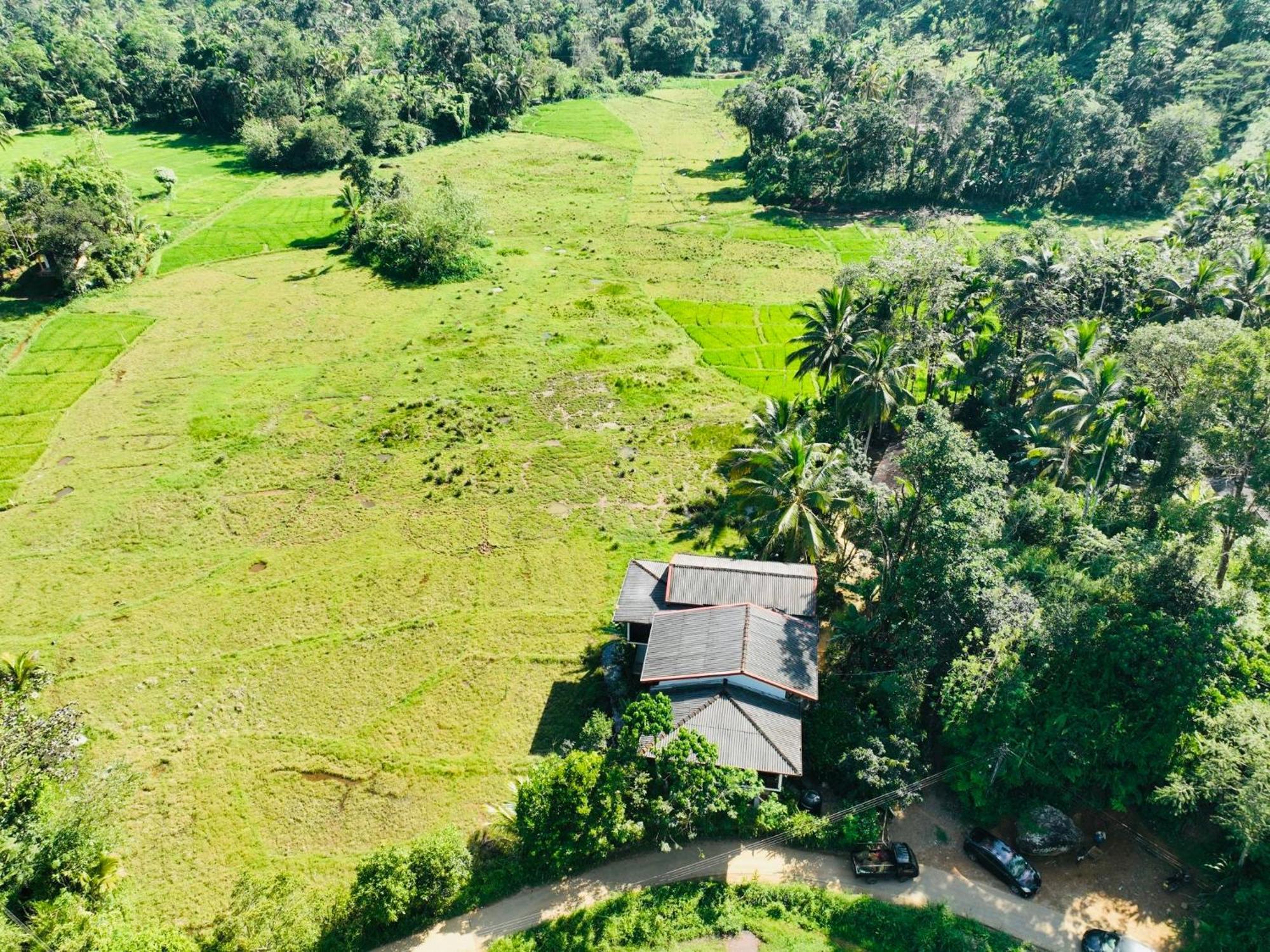 Wildlife Kingdom - Deniyaya Sinharaja Hotel Eksteriør billede